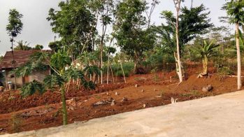 Tanah Kalisegoro Gunungpati dekat SD Negeri Kalisegoro