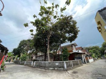 Jual Tanah Yogyakarta Timur Candi Sambisari