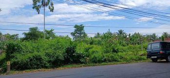 Dijual Tanah 3075m2 Jl Denpasar singaraja Mengwi Badung Bali
