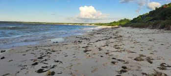 Dijual Murah Tanah Sepadan Pantai Kawona Sumba Barat Daya