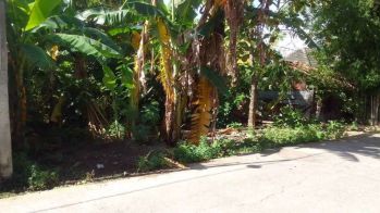 DIJUAL TANAH PEKARANGAN AKSES MUDAH, MURAH MERIAH, INVESTASI, JK11452