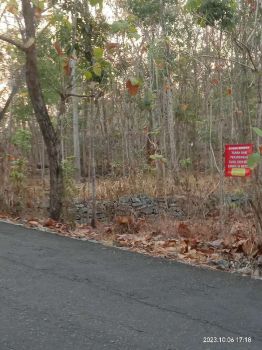 TANAH SHMP DIJUAL SEGERA JALAN RAYA SEMIN NGLIPAR MURAH