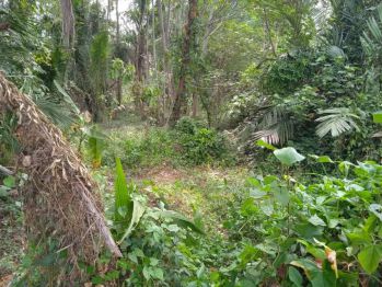 Dijual BU Tanah sleman