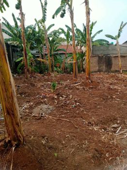 TANAH DI JUAL CEPAT 100M -- Lokasi Rawa Gatel, Ketapang, Cipondoh