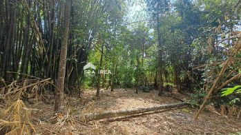 Tanah Murah Dekat Pasar Godean Sleman