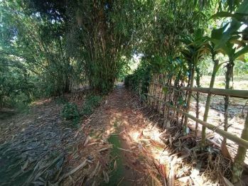 Tanah Kebun 1653 m2 di Bojong Purwakarta Dijual Murah