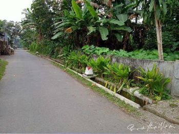 Tanah luas 589 m² di Jiwut Nglegok Kab. Blitar