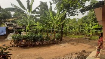 Sell Tanah Kavling: Kavling di Depok