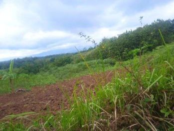 Lahan/Tanah dijual SHM Luas 1,4Ha di Tempuran, Magelang, Jawa Tengah