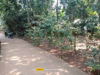 Dijual tanah darat luas 100mt jln masuk mobil hrg 75jt surat SHM mecah