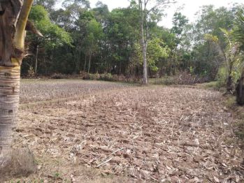 Dijual cepat Tanah industri kav.mabes margasari tigaraksa Tangerang