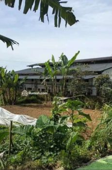 Tanah Kebun Pasar Cigombong Cipanas Ciherang Pacet Cianjur