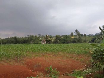 dijual tanah datar,keadaan kosong