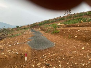 TANAH KAVLING BONUS POHON DURIAN DI BOGOR TIMUR