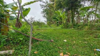 Dijual Lahan Murah Di Taro Gianyar View Sawah