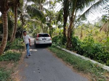 Tanah murah Donokerto Utara resto jejamuran pendowoharjo sleman
