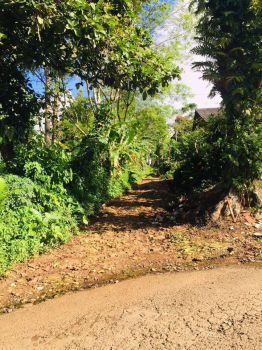 Dijual Tanah dan Kandang Ayam Seluas 1,2 Ha