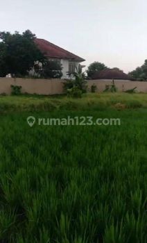Hot List Di Jual Tanah View Sawah Lokasi Kemenuh Ubud