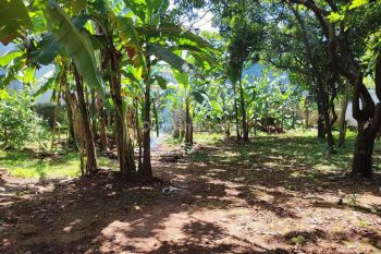 Tanah Strategis Untuk Kost, Akses Mudah Ke Kampus Ui Depok