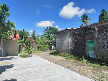 Termurah di Jl Palagan, Tanah Luas 300 an M2, Cocok Homestay