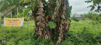 Tanah Luas di Kampung Bojong Nangka Blok 2 No. 17B - Bogor NPL214-16