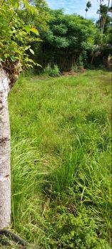 Dijual Tanah untuk kapling Rumah dan siap bangun