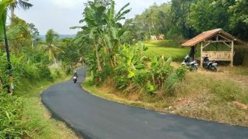 Tanah Sawah 2866 m2 Pinggir Jalan Dijual Murah di Wanayasa Purwakarta
