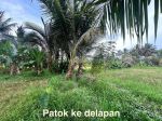 thumbnail-tanah-cocok-untuk-investasi-jangka-panjang-bisa-buat-villa-hotel-tempat-hiburan-8