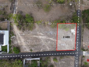 PRISTINE UNGASAN FREEHOLD LAND - A PERFECT RESIDENTIAL OPPORTUNITY