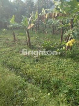 TANAH MURAH TANJUNG SARI