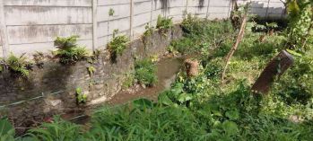 Disewakan Tanah di Jalan Raya Lawang