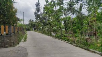 Tanah Murah di Ambarketawang Jogja Untuk Hunian