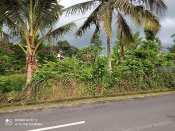 Sewa Tanah Murah Gianyar