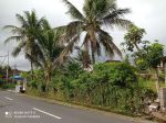 thumbnail-sewa-tanah-murah-gianyar-1