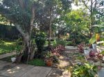 thumbnail-tanah-di-jalan-bukit-dago-utara-bandung-shm-1294-m2-4