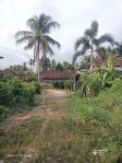 thumbnail-tanah-dijual-lokasi-dekat-jalan-utama-area-tabanan-4