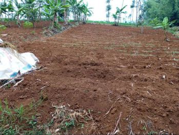 DIJUAL: TANAH LUAS DI CIJAPATI