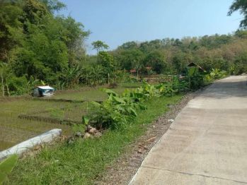 Tanah sawah pas pinggir jalan akses truck air melimpah