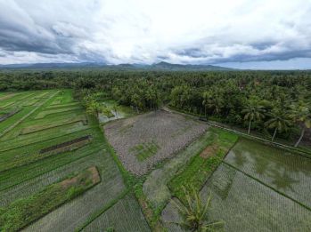 SHM Siap Bangun di Kulon Progo, Kawasan YIA Jogja, Pekarangan