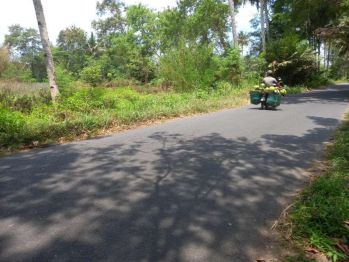 Pekarangan tepi aspal di punthuk, timur UII