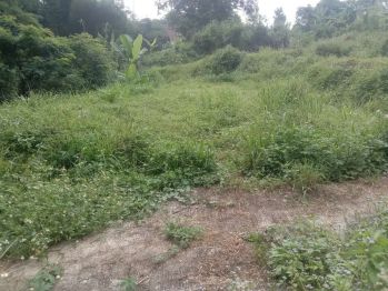 Tanah Murah nempel Kampus UNDIP