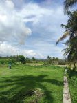 thumbnail-tanah-pantai-purnama-gianyar-bali-1