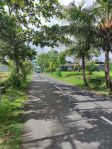 thumbnail-tanah-pantai-purnama-gianyar-bali-9