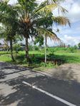 thumbnail-tanah-pantai-purnama-gianyar-bali-6