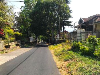 Tanah Luas 1100 Lebar 50 Poros Jalan Area Batu Dkt Balai Kota