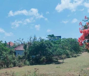 Tanah kawasan pantai Pandawa Kutuh kuta selatan Badung Bali