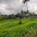 thumbnail-dijual-lahan-di-pupuan-view-pedesaan-alami-6