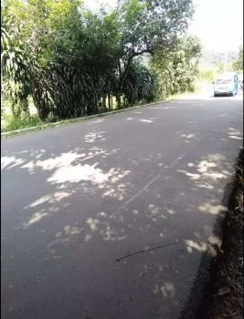 Dijual cepat tanah 3 ha di Rumpin Bogor