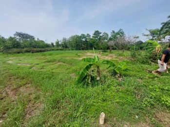 Sell Tanah: Di Jual Tanah Luas