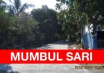 thumbnail-beachfront-riverside-permit-for-beachclub-apartement-mumbul-sari-0